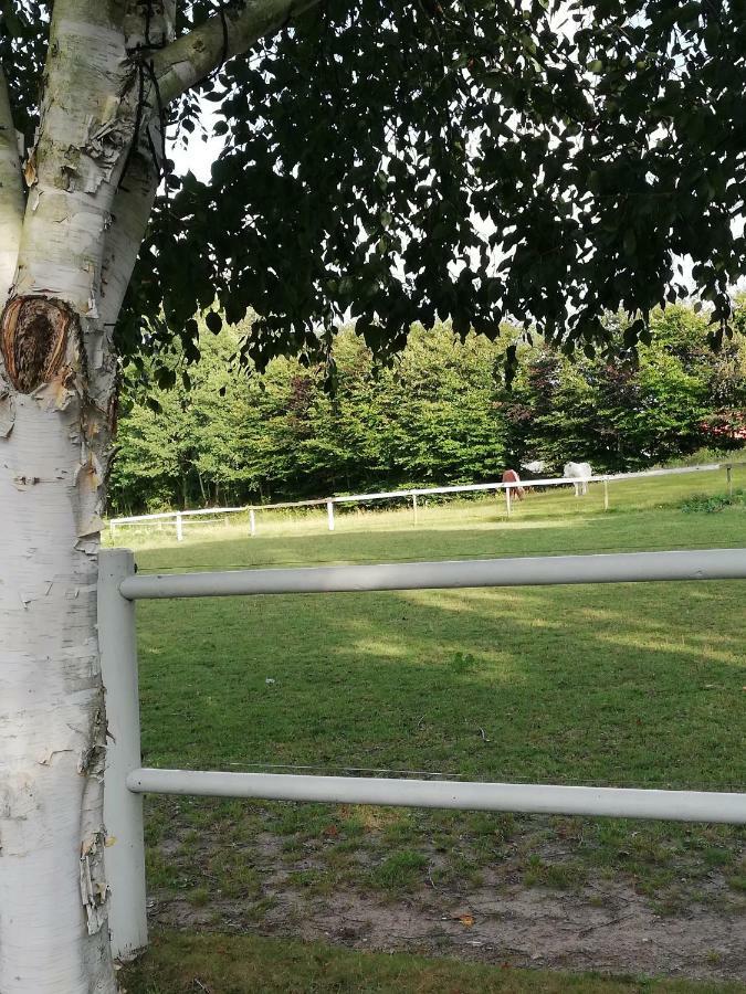 Apartamento Tankefuld Living'S Horsefarm Svendborg Exterior foto